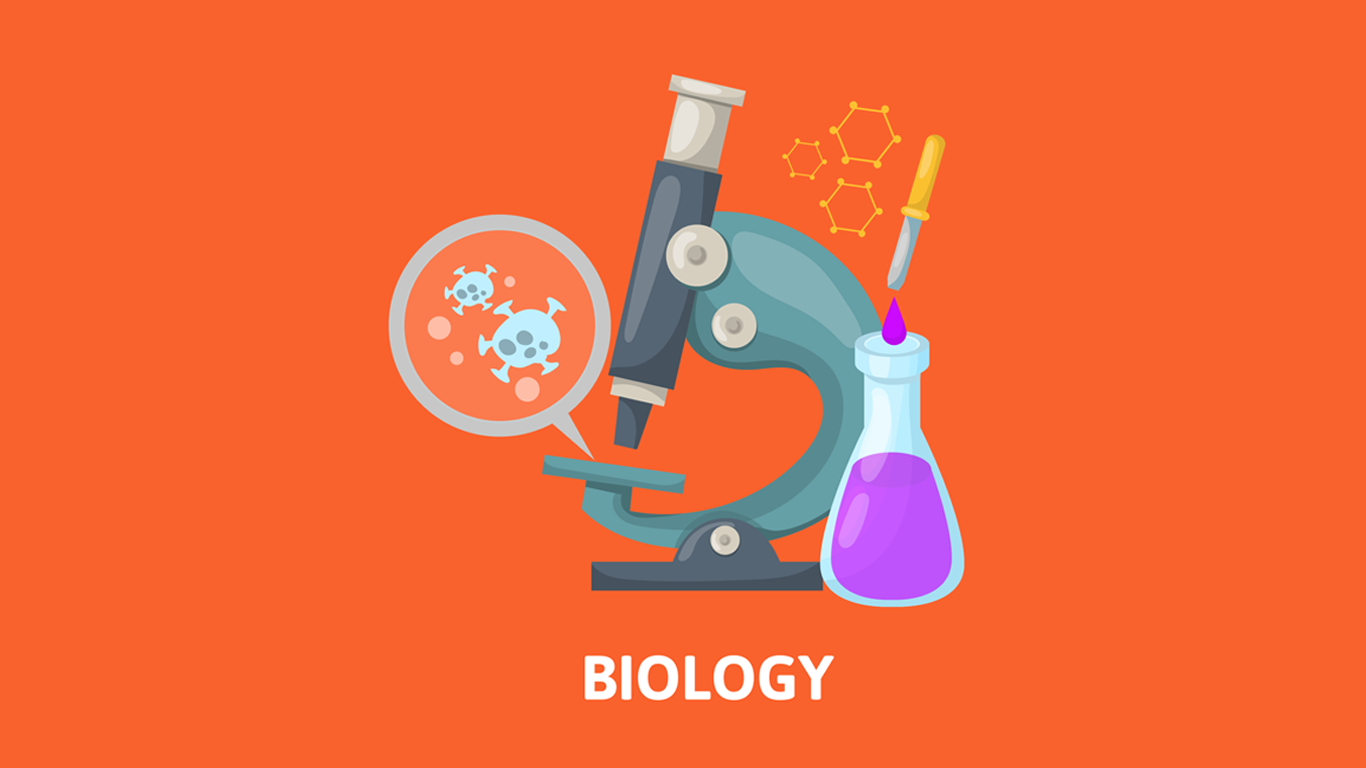 Class 12 - Biology